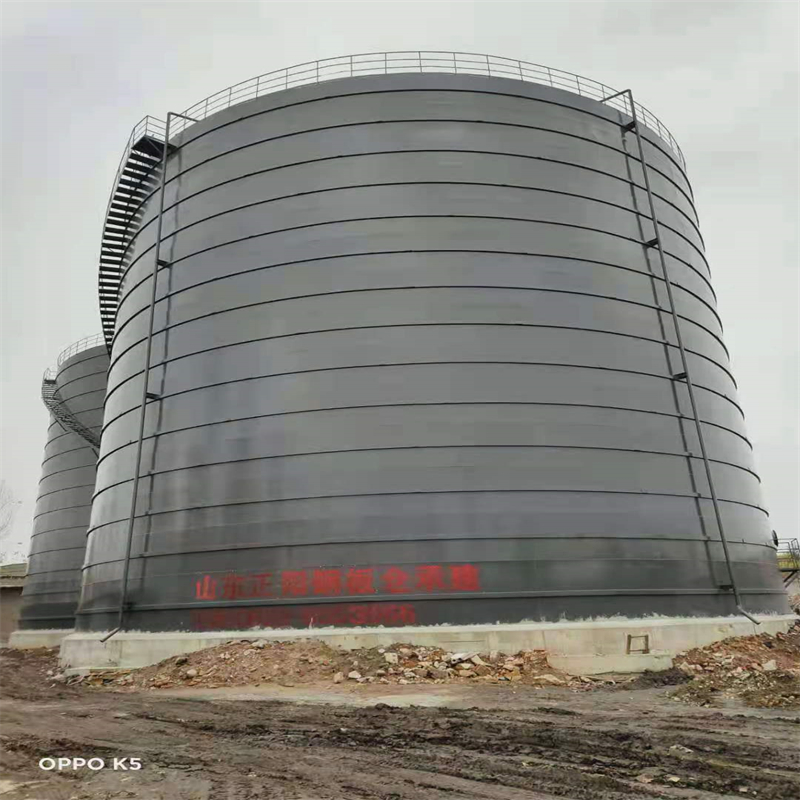 宋洛乡3万吨大型钢板库